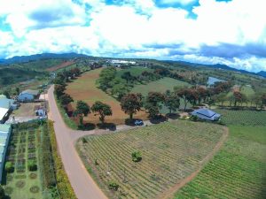 quy-dinh-tach-thua-du-an-doc-lap-bao-loc-lam-dong-quy-dinh